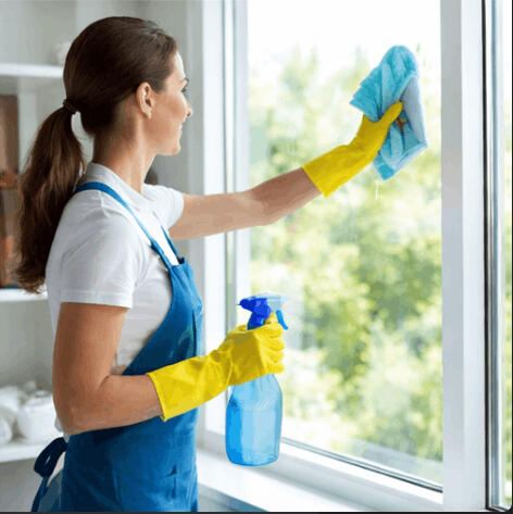 Window Cleaning